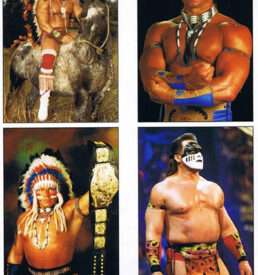 Tatanka's Career