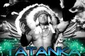 Artwork of Tatanka